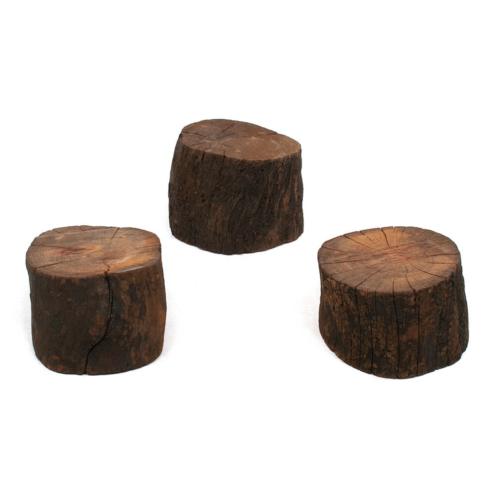 形状お任せ　煮込み済み　切り株ドリフトウッド　Lサイズ（約9〜12cm）　Normalタイプ（高さ約5〜10cm..