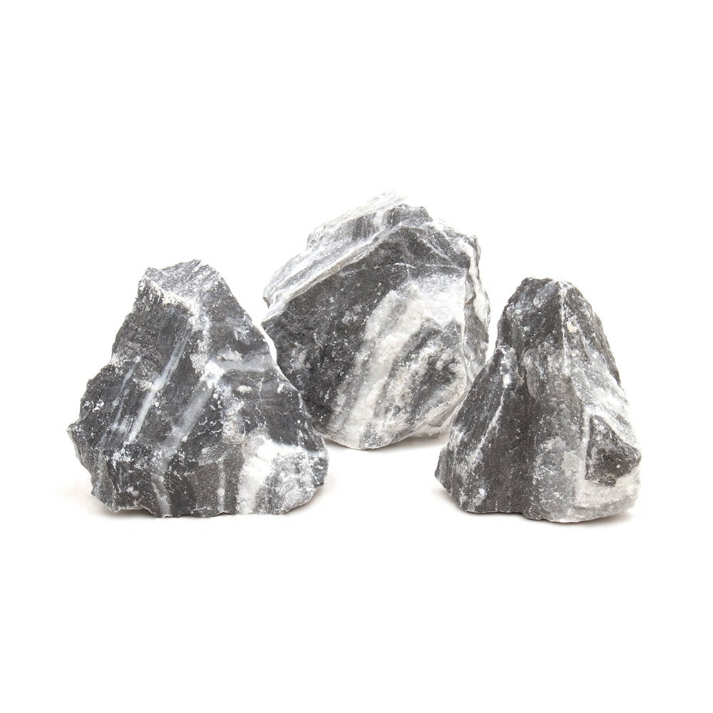 ������Ǥ����ζ���С�SS����������5��8cm�ˡ�3�ġ��������ꥦ�ࡡ�쥤�������Ǻࡡ����������