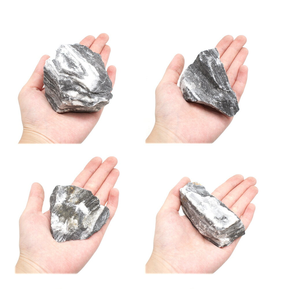 ������Ǥ����ζ���С�SS����������5��8cm�ˡ�3�ġ��������ꥦ�ࡡ�쥤�������Ǻࡡ����������