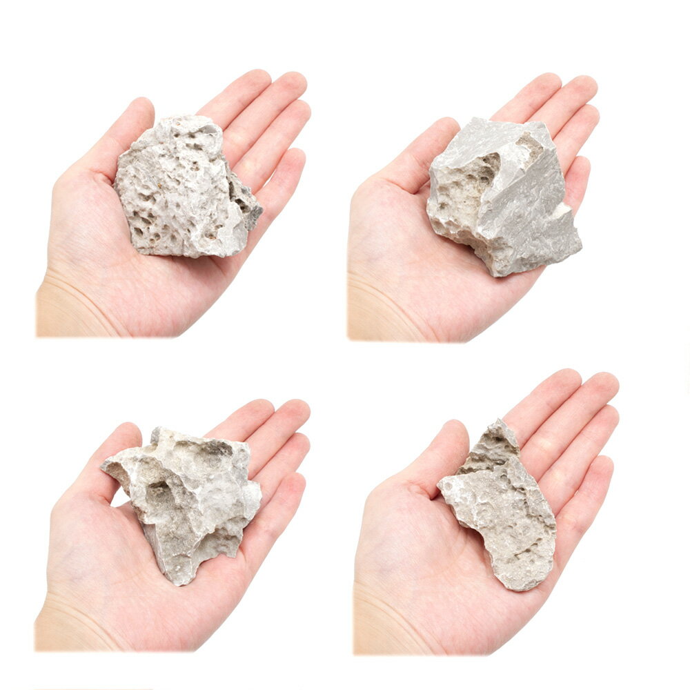 ������Ǥ���������С�SS����������5��8cm�ˡ�3�ġ��������ꥦ�ࡡ�쥤�������Ǻࡡ����������