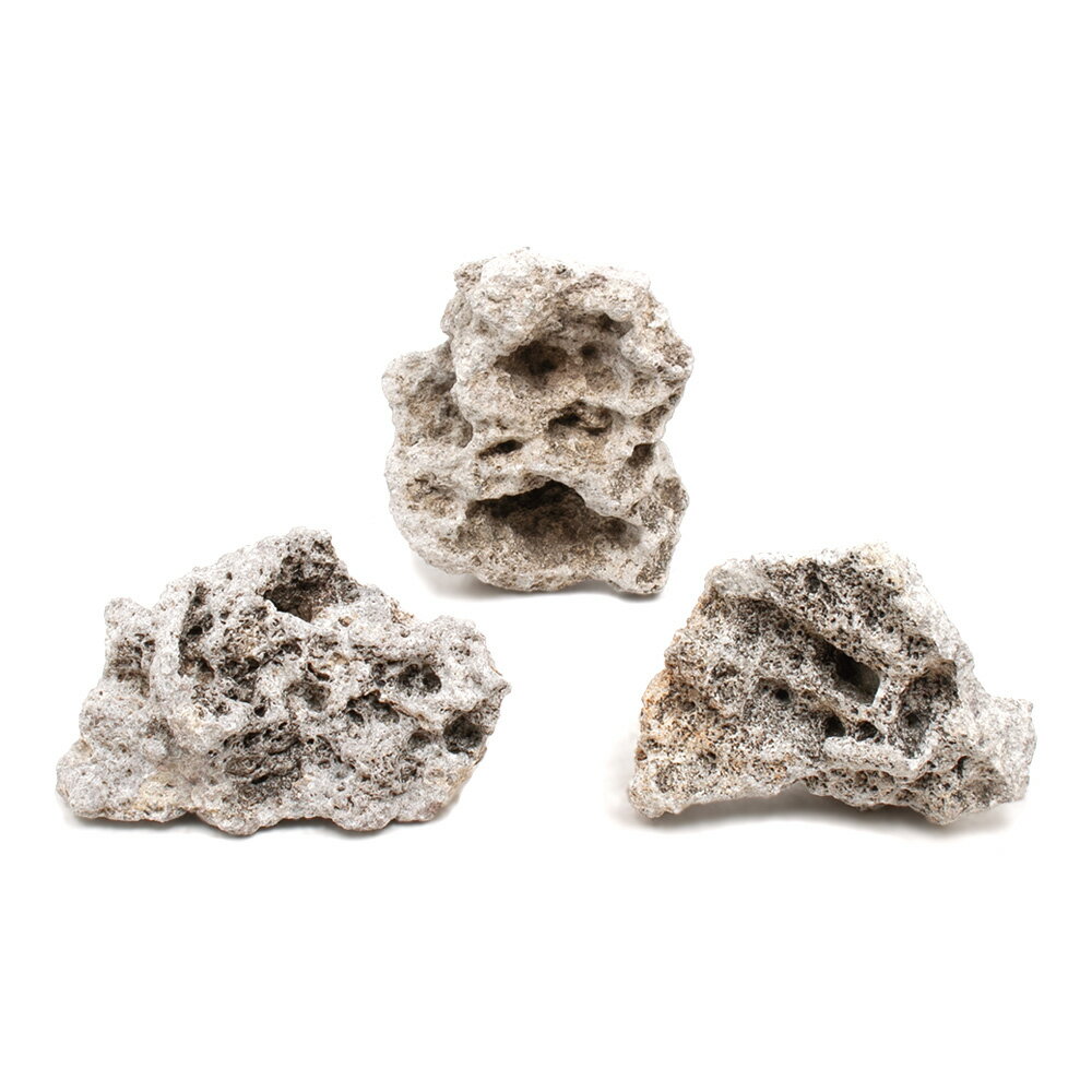 形状お任せ　暗月石　Sサイズ（約8〜13cm）　3個　アクアリウム　レイアウト素材　関東当日便