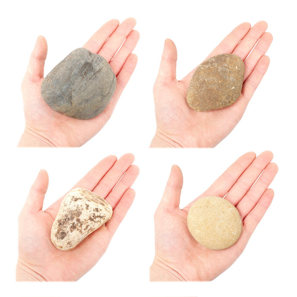 ������Ǥ�����̴��С�SS����������5��8cm�ˡ�3�ġ��������ꥦ�ࡡ�쥤�������Ǻࡡ����������