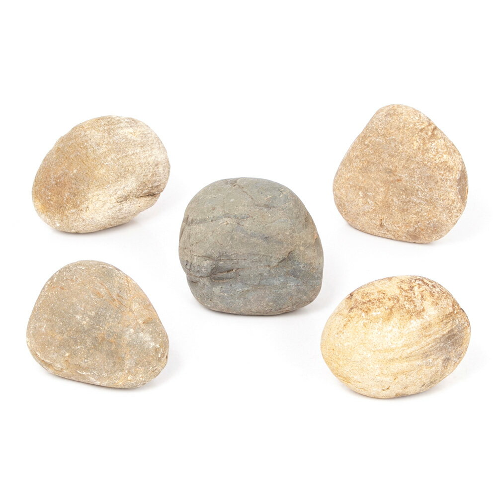 ������Ǥ�����̴��С�SS����������5��8cm�ˡ�5�ġ��������ꥦ�ࡡ�쥤�������Ǻࡡ����������