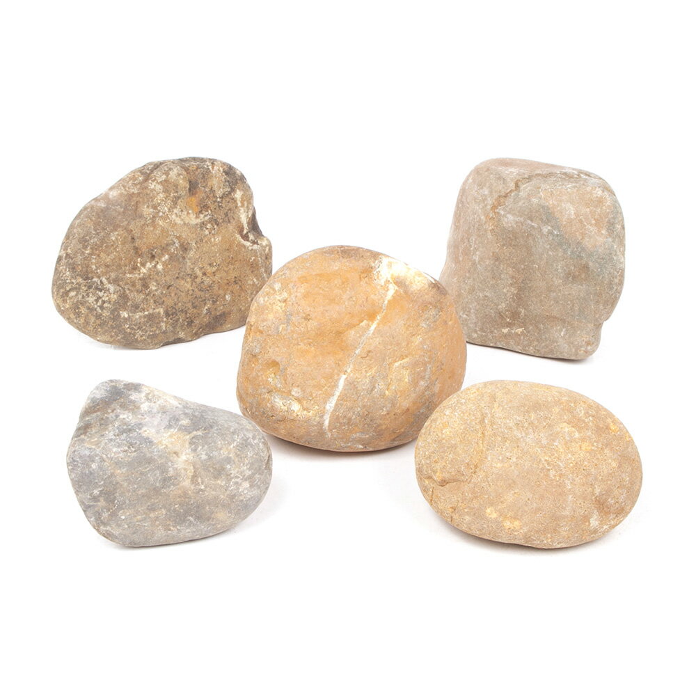 形状お任せ　渓澗石　Sサイズ（約8〜13cm）　5個　アクアリウム　レイアウト素材　関東当日便