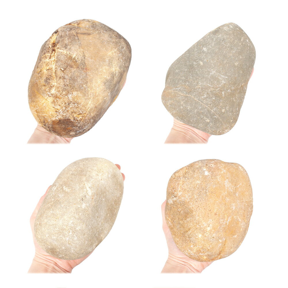 ������Ǥ�����̴��С�M����������13��18cm�ˡ�3�ġ��������ꥦ�ࡡ�쥤�������Ǻࡡ����������