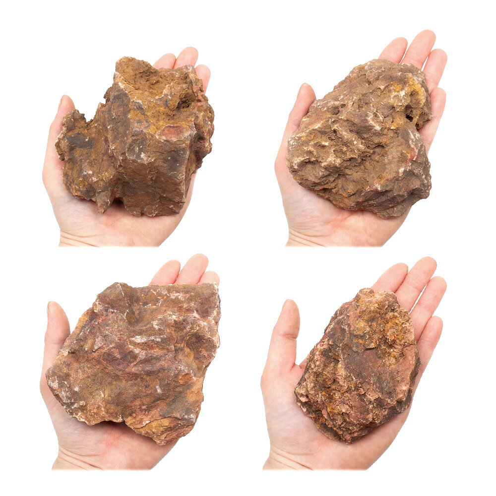 ������Ǥ���������С�S����������8��13cm�ˡ�1�ġ��������ꥦ�ࡡ�쥤�������Ǻࡡ����������