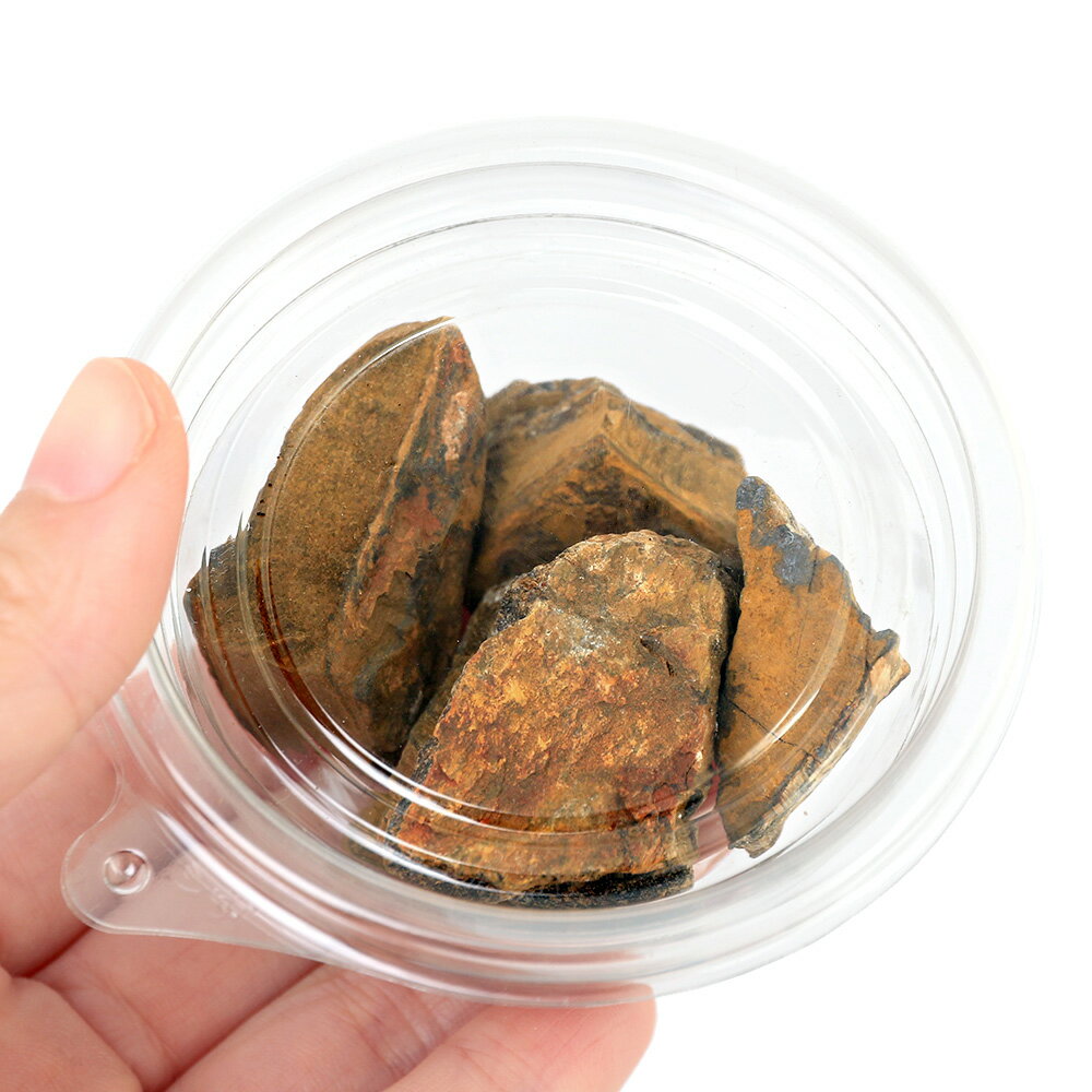 ������Ǥ�����������������ʸ����Сˡ�100g����ʪ�����С����С��쥤�������Ǻࡡ����������