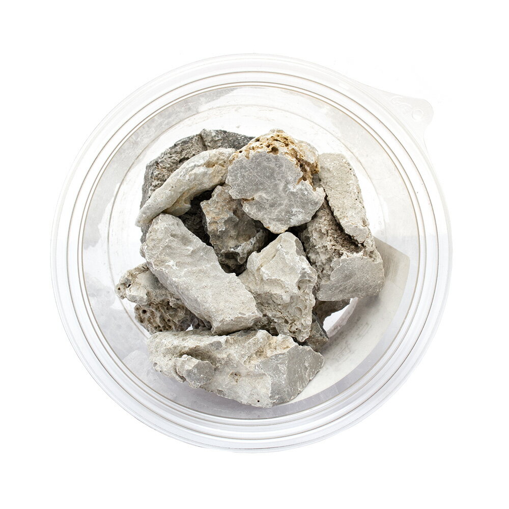 ������Ǥ���������С��ܥȥ륢�����ѡ�500g���������塡�������ꥦ�ࡡ�ƥ�ꥦ�ࡡ�쥤�������Ǻࡡ����������