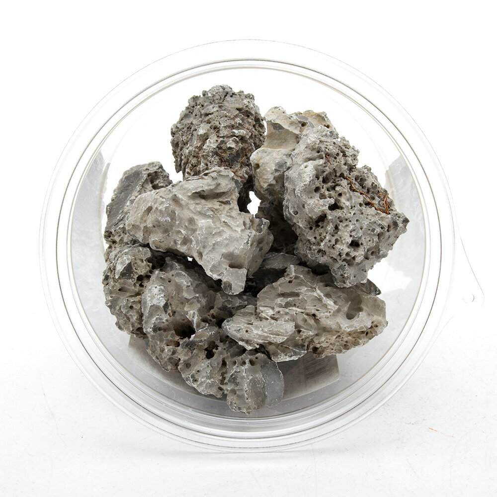 ������Ǥ���������С��ܥȥ륢�����ѡ�500g���������塡�������ꥦ�ࡡ�ƥ�ꥦ�ࡡ�쥤�������Ǻࡡ����������