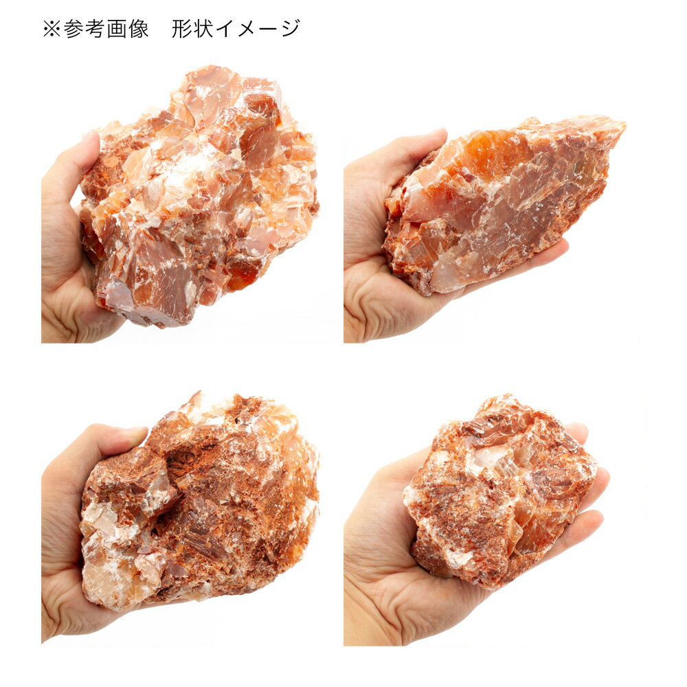 ������Ǥ�����쾽�С��������ߥå�����10kg��60cm����������������ꥦ�ࡡ�쥤�������Ǻࡡ����������