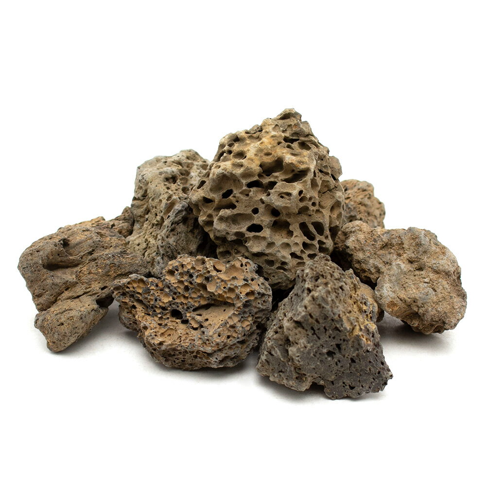 ������Ǥ������Х��å����ܥȥ륢�����ѡ�500g���������塡�쥤�������Ǻࡡ�ϴ��С��������ꥦ�ࡡ�ƥ�ꥦ�ࡡ����������