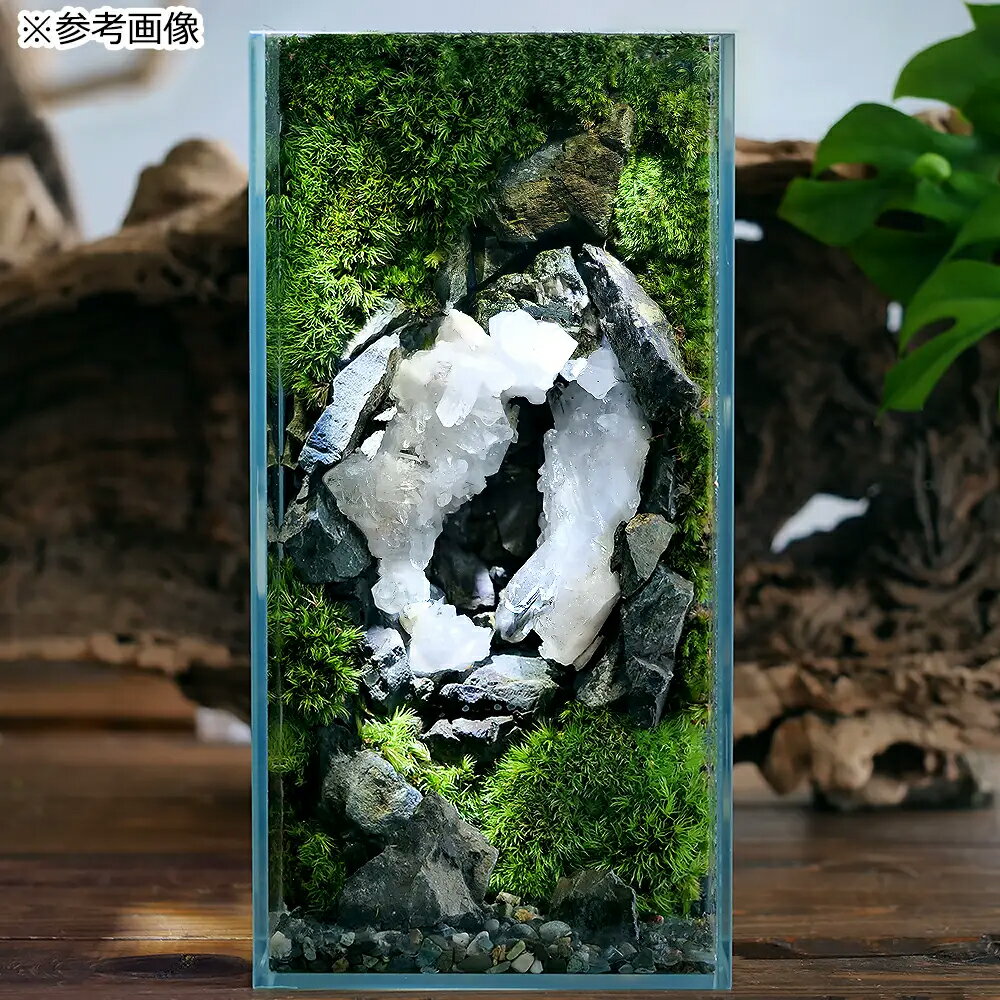 ������Ǥ�����֥롼���٥������ʺ���徽�ˡ�100g����ʪ�����С����С��쥤�������Ǻࡡ����������