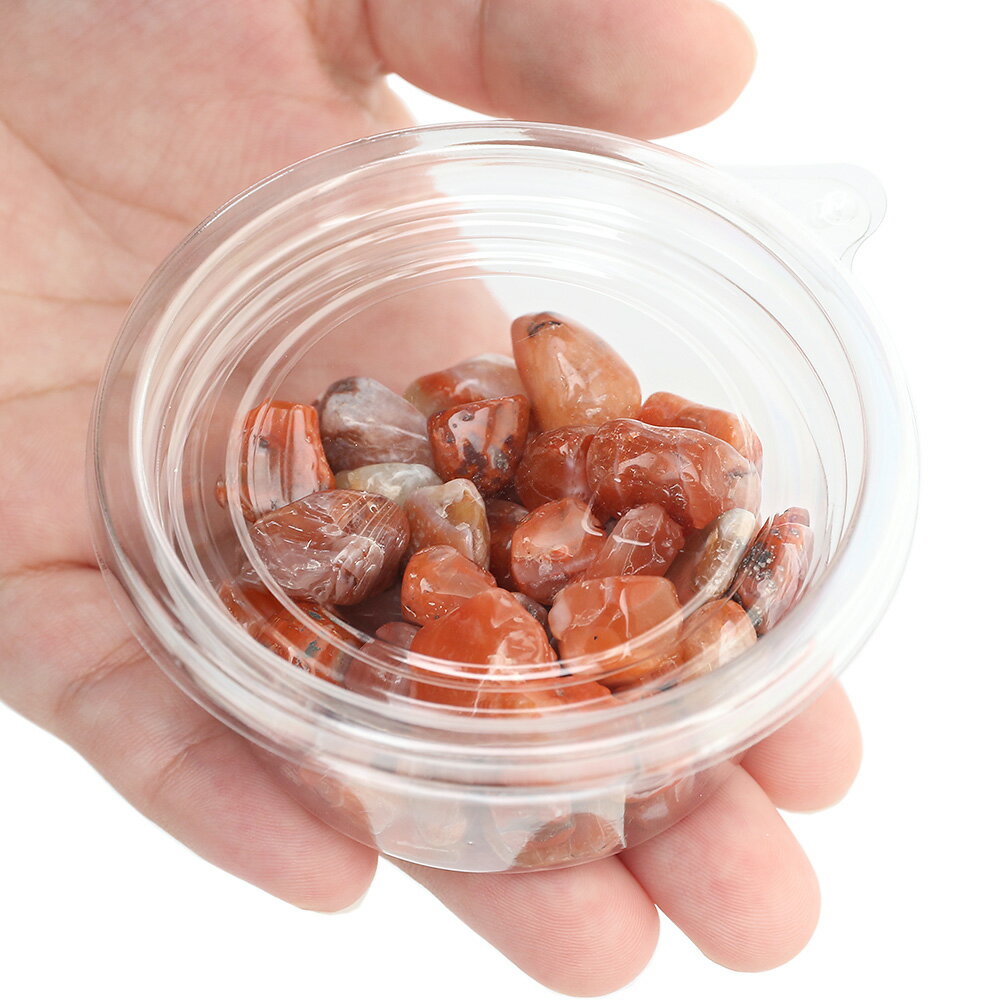 �������С������ͥꥢ��ʹȶ̿�ˡ�100g����ʪ�����С����С��쥤�������Ǻࡡ�����С�����������