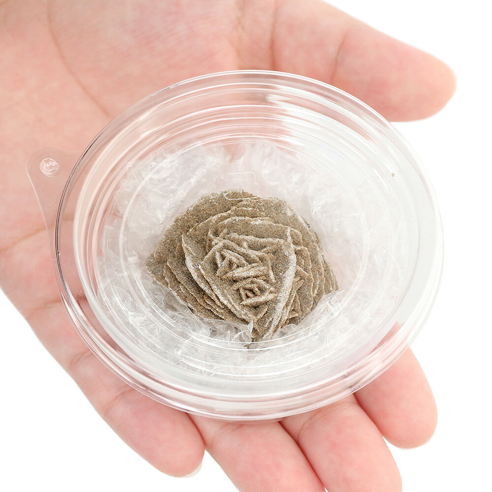 ������Ǥ�����ǥ����ȥ������ʺ������鯡ˡ�1�ġ���ʪ�����С����С��쥤�������Ǻࡡ����������