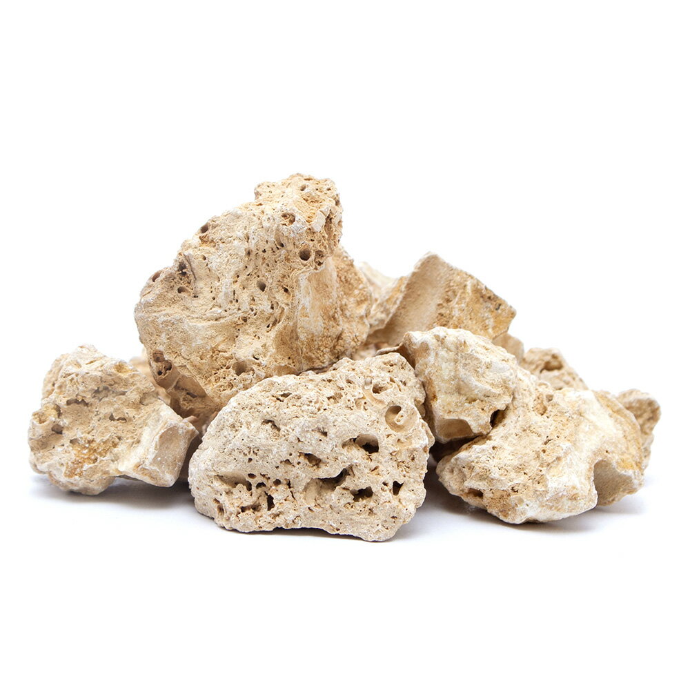 ������Ǥ�����ݿ��С��ܥȥ륢�����ѡ�500g���������塡�������ꥦ�ࡡ�ƥ�ꥦ�ࡡ�쥤�������Ǻࡡ����������