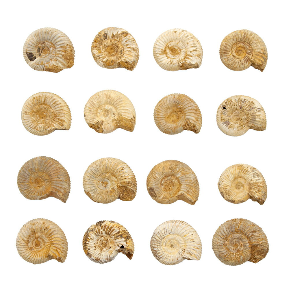 ������Ǥ�����ޥ��������뻺�������ʥ��ȡ�1�ġ�����鵪�����С�����������