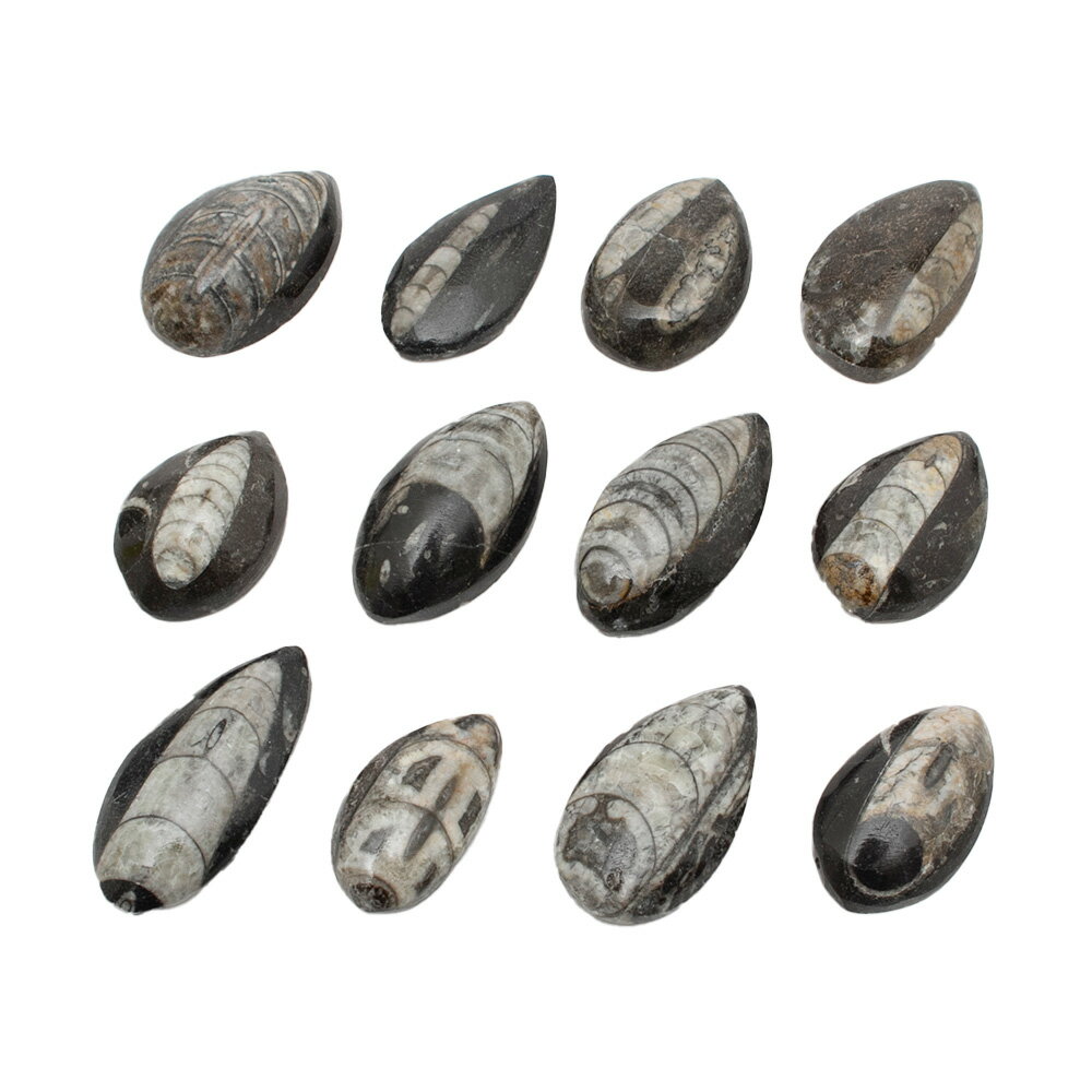 ������Ǥ��������å�����ľ���Сʥ����६���ˡ�1�ġ��ǥܥ󵪡����С�����������