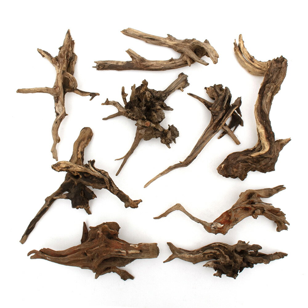 ������Ǥ�����ѹ��ߺѤߡ��ǥ������ۡ��󥦥åɡ�M����������25��35cm�ˡ�1�ܡ��������ꥦ�ࡡ�쥤�������Ǻࡡή�ڡ�����������