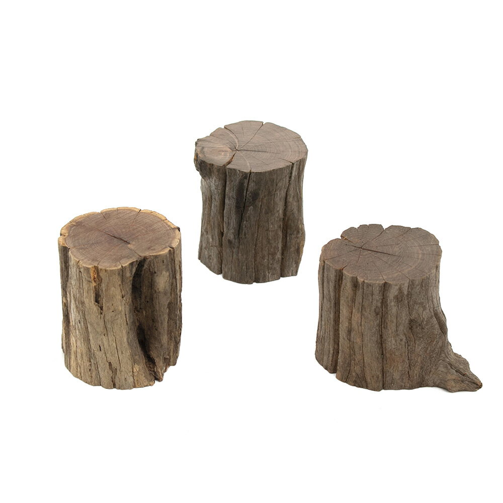 形状お任せ　煮込み済み　切り株流木　Sサイズ（約2．5〜4．5cm）　Highタイプ　1本　レイアウ ...