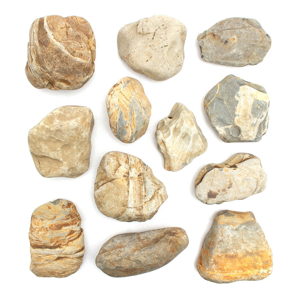 ������Ǥ���������С�M����������13��18cm�ˡ�1�ġ��������ꥦ�ࡡ�쥤�������Ǻࡡ����������