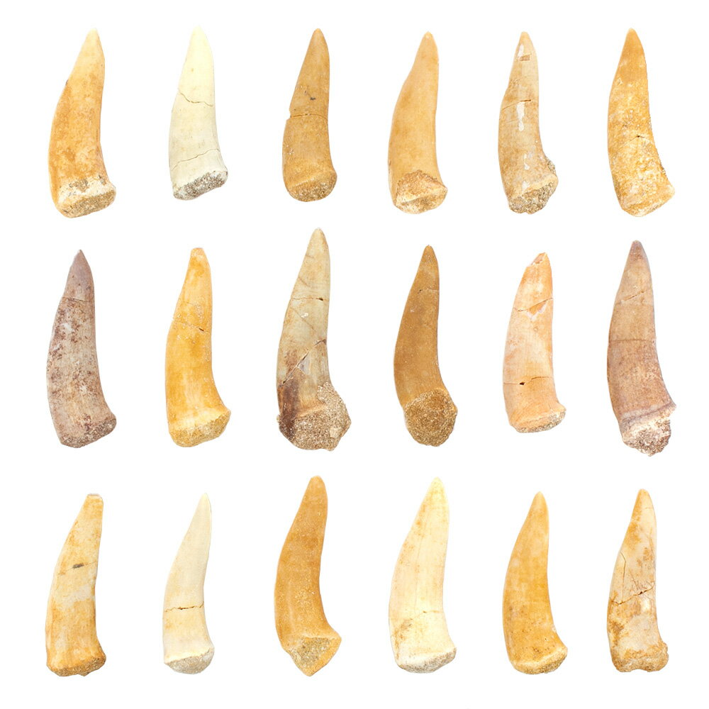 ������Ǥ��������å��������󥳥����λ��β��С�1�ġ����β��С��򰡵������С�����������