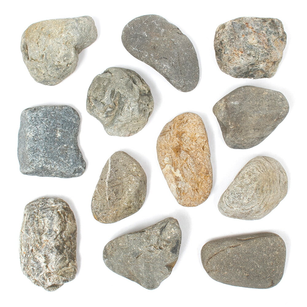 ������Ǥ�������С�S����������8��13cm�ˡ�1�ġ��������ꥦ�ࡡ�쥤�������Ǻࡡ����������������ࡡξ���ࡡ���ܻ�ø���������������