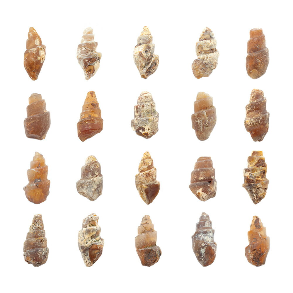 ������Ǥ��������å��������ﲽ���������С�5�ġ��Ͽ����������С����С�����������