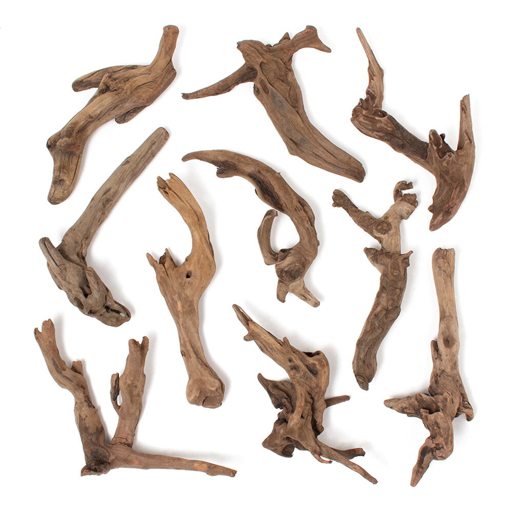 ������Ǥ�����ѹ��ߺѤߡ����ή�ڡ������ߤ�ӡ���M����������25��35cm�ˡ�1�ܡ��������ꥦ�ࡡ�쥤�������Ǻࡡή�ڡ�����������