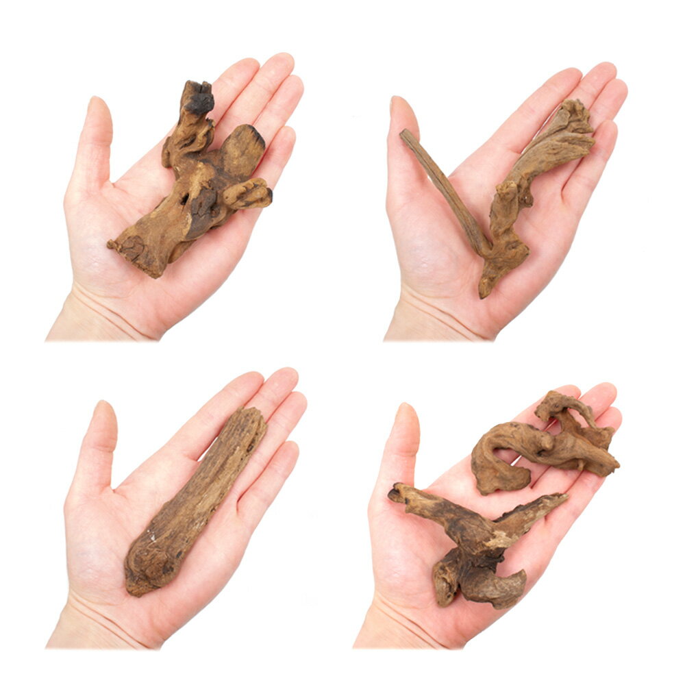 ������Ǥ�����ѹ��ߺѤߡ������ɥ�եȥ��åɡ�1kg���������ꥦ�ࡡ�쥤�������Ǻࡡή�ڡ�����������