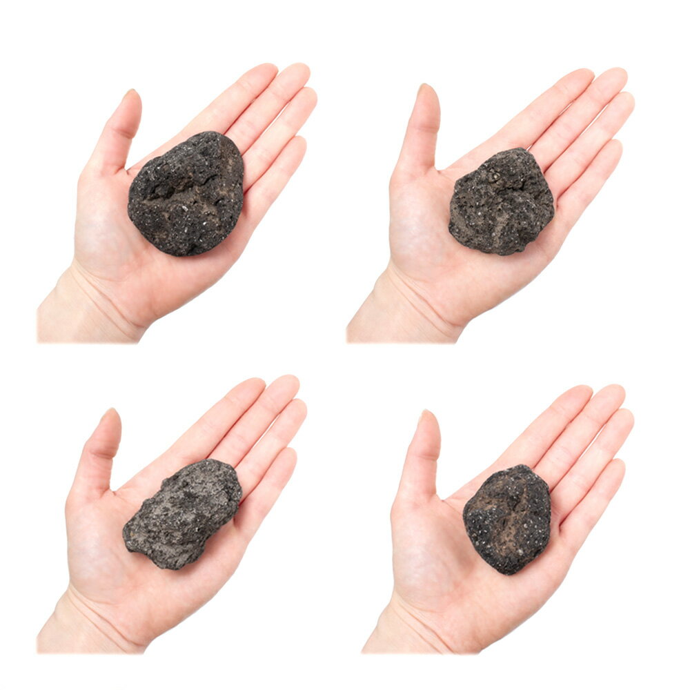 ������Ǥ���������ϴ��С�SS����������5��8cm�ˡ�5�ġ��������ꥦ�ࡡ�쥤�������Ǻࡡ����������