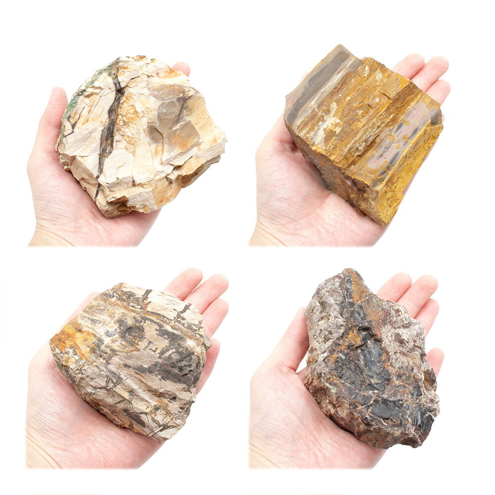 ������Ǥ�����ڲ��С�S����������8��13cm�ˡ�1�ġ��������ꥦ�ࡡ�쥤�������Ǻࡡ����������