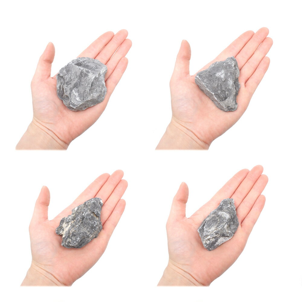 ������Ǥ������ή�С�SS����������5��8cm�ˡ�5�ġ��������ꥦ�ࡡ�쥤�������Ǻࡡ����������