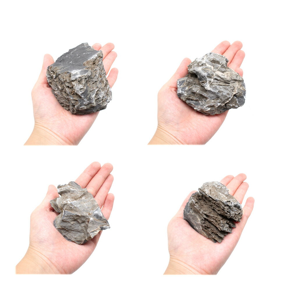 ������Ǥ������ζ�С�SS����������5��8cm�ˡ�3�ġ��������ꥦ�ࡡ�쥤�������Ǻࡡ����������