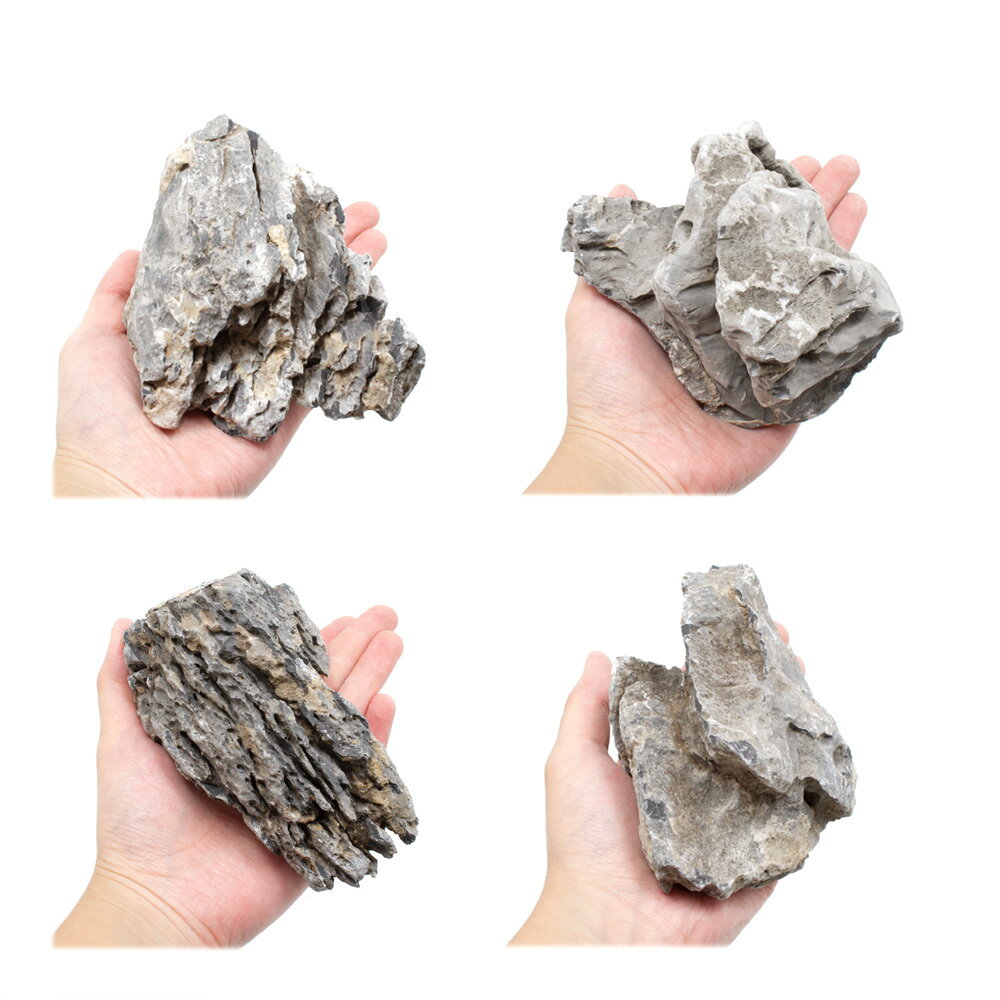 ������Ǥ������ζ�С�S����������8��13cm�ˡ�1�ġ��������ꥦ�ࡡ�쥤�������Ǻࡡ����������