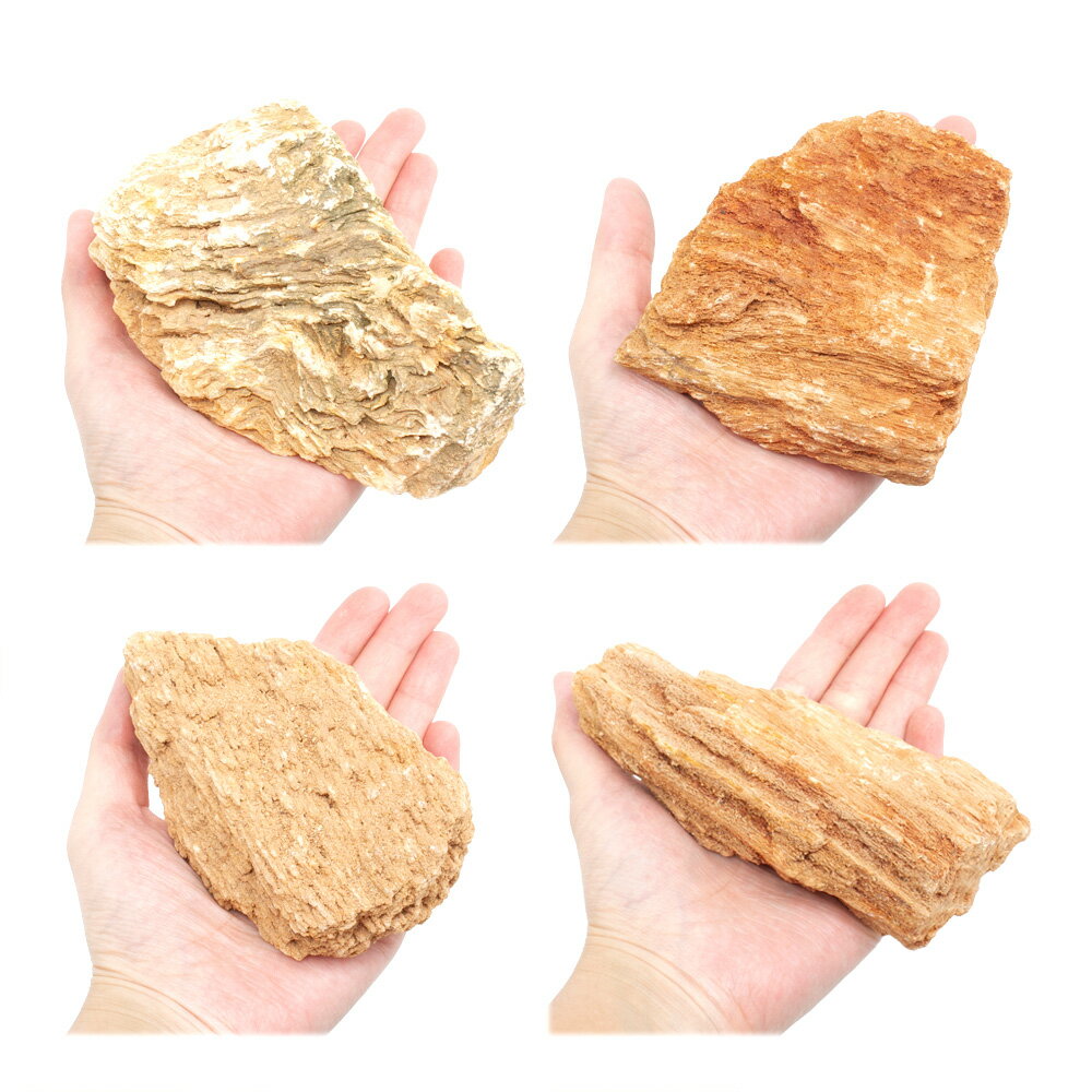 ������Ǥ��������䡡S����������8��13cm�ˡ�1�ġ��������ꥦ�ࡡ�쥤�������Ǻࡡ����������