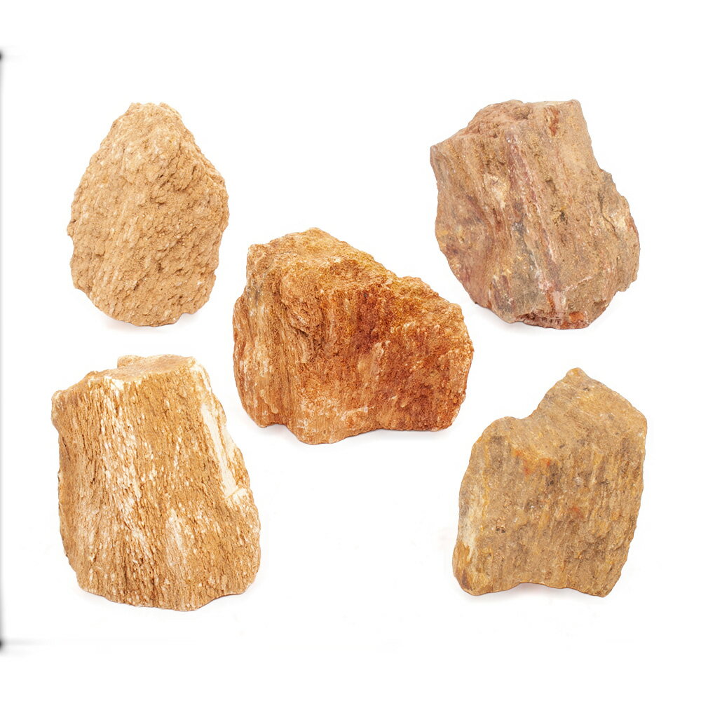 形状お任せ　木紋岩　Sサイズ（約8〜13cm）　5個　アクアリウム　レイアウト素材　関東当日便