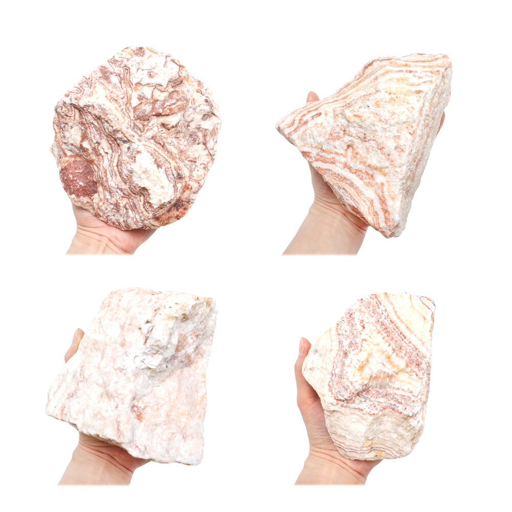 ������Ǥ���������С�M����������13��18cm�ˡ�1�ġ��������ꥦ�ࡡ�쥤�������Ǻࡡ����������