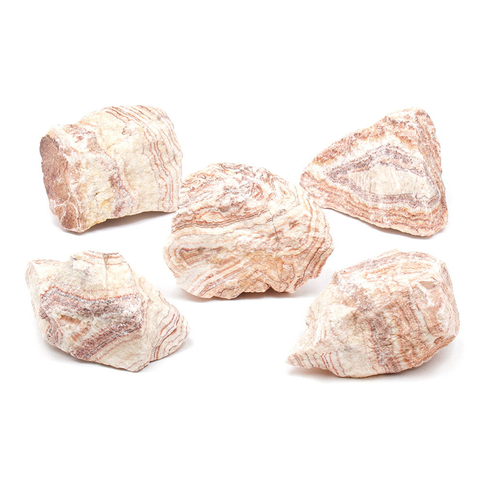 形状お任せ　朱紋石　Mサイズ（約13〜18cm）　5個　アクアリウム　レイアウト素材　関東当日便