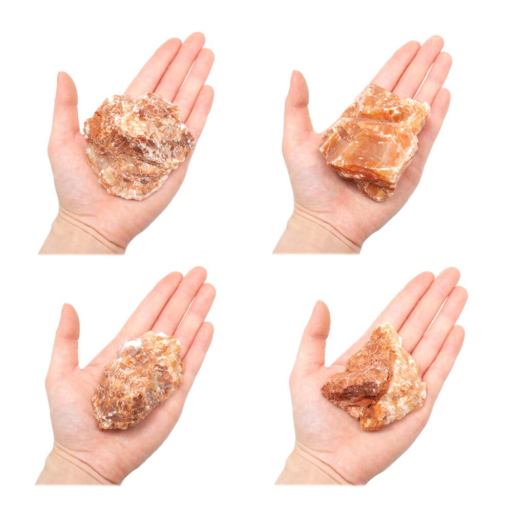 ������Ǥ�����쾽�С�SS����������5��8cm�ˡ�3�ġ��������ꥦ�ࡡ�쥤�������Ǻࡡ����������