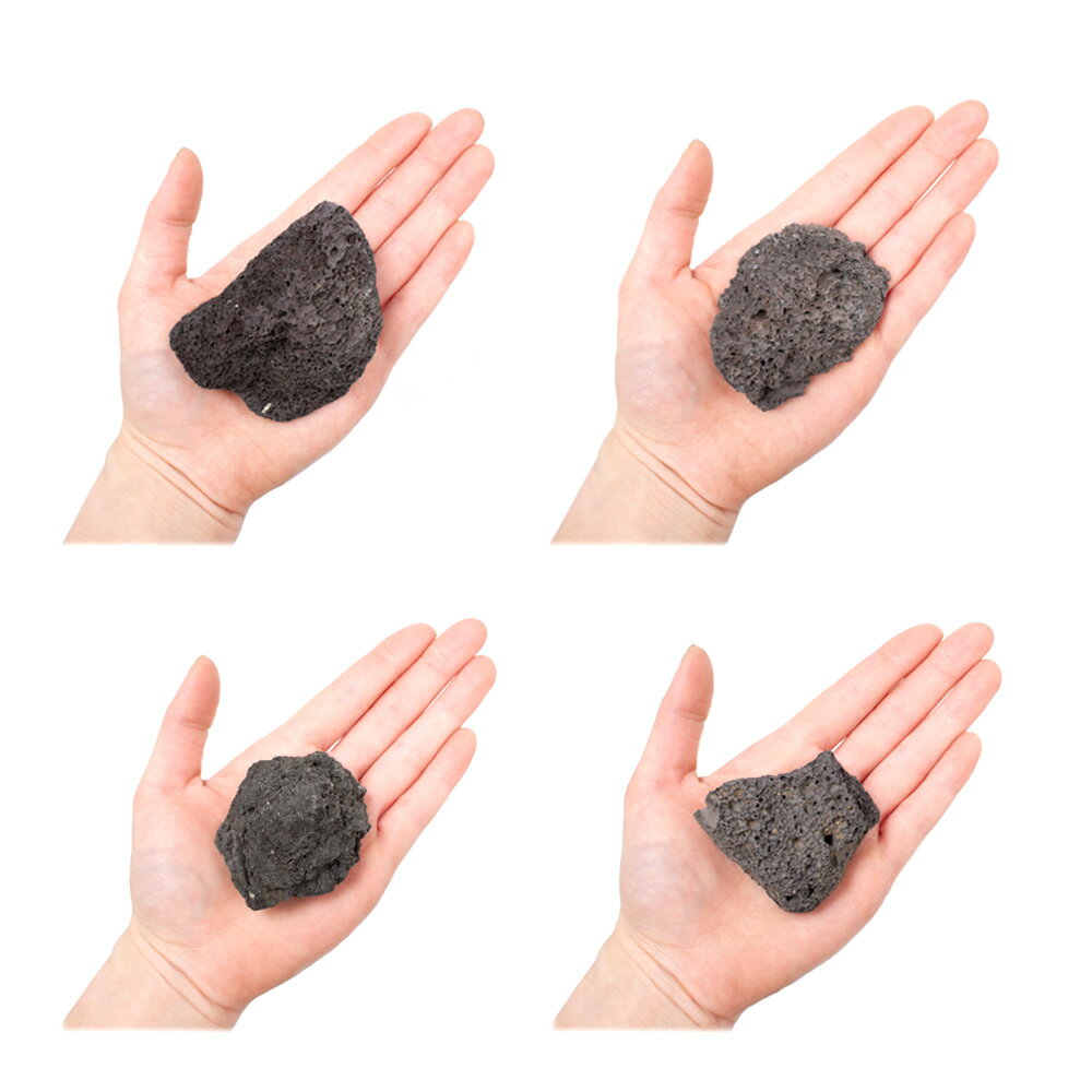 ������Ǥ�������ϴ��С�SS����������5��8cm�ˡ�3�ġ��������ꥦ�ࡡ�쥤�������Ǻࡡ�ϴ��С�����������