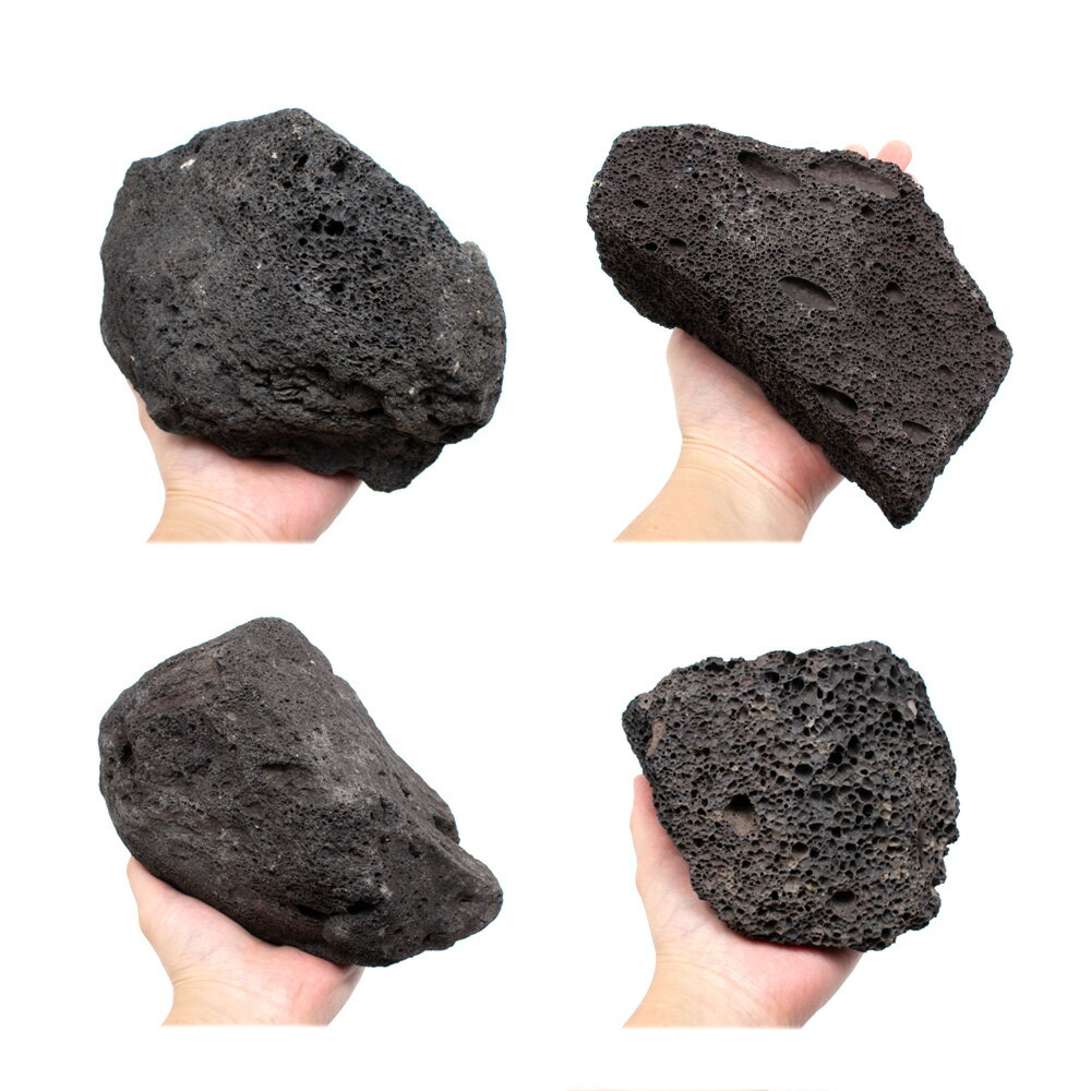 ������Ǥ�������ϴ��С�M����������13��18cm�ˡ�1�ġ��������ꥦ�ࡡ�쥤�������Ǻࡡ�ϴ��С�����������