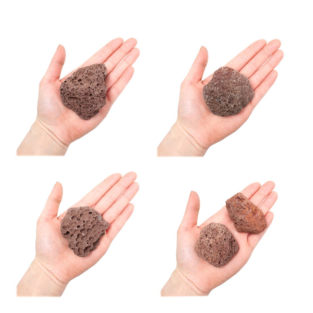 ������Ǥ�������ϴ��С�SS����������5��8cm�ˡ�3�ġ��������ꥦ�ࡡ�쥤�������Ǻࡡ�ϴ��С�����������