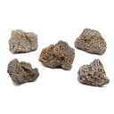 形状お任せ ラバロック SSサイズ(約5〜8cm) 5個 アクアリウム レイアウト素材 関東当日便