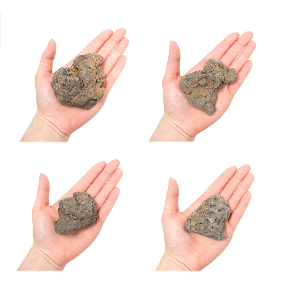 ������Ǥ������Х��å���SS����������5��8cm�ˡ�5�ġ��������ꥦ�ࡡ�쥤�������Ǻࡡ����������