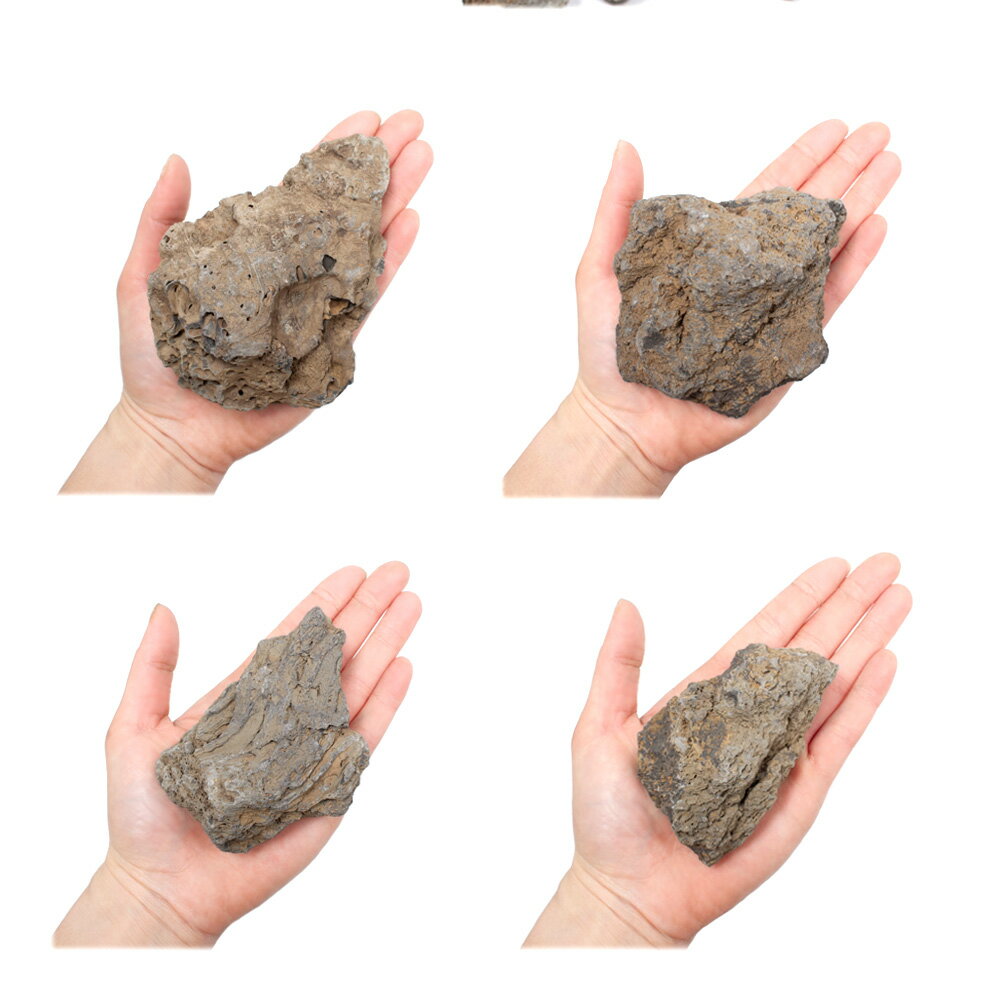 ������Ǥ������Х��å���S����������8��13cm�ˡ�1�ġ��������ꥦ�ࡡ�쥤�������Ǻࡡ����������