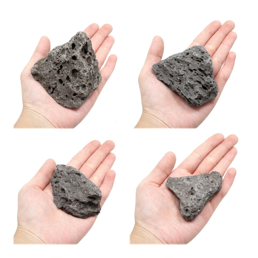 ������Ǥ���������С�SS����������5��8cm�ˡ�3�ġ��������ꥦ�ࡡ�쥤�������Ǻࡡ�ϴ��С�����������