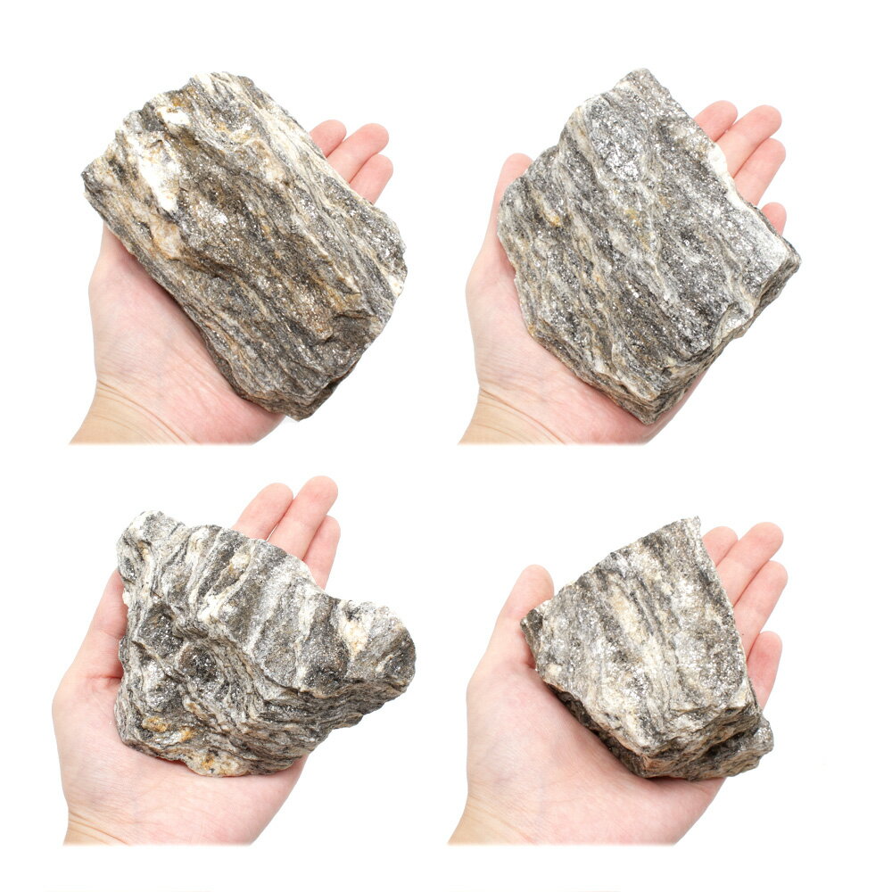 ������Ǥ������δ�С�S����������8��13cm�ˡ�1�ġ��������ꥦ�ࡡ�쥤�������Ǻࡡ����������