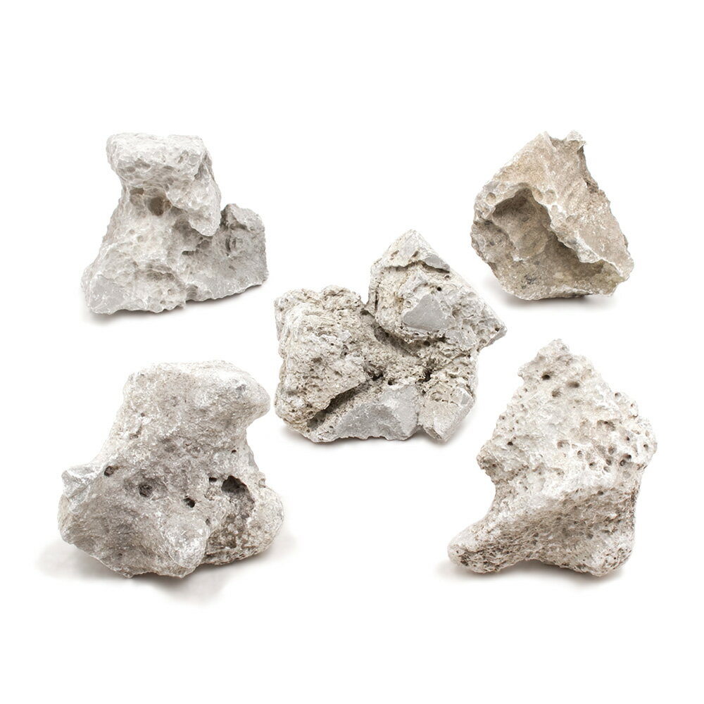 形状お任せ 白風石 Sサイズ（約8～13cm） 5個 アクアリウム レイアウト素材 関東当日便