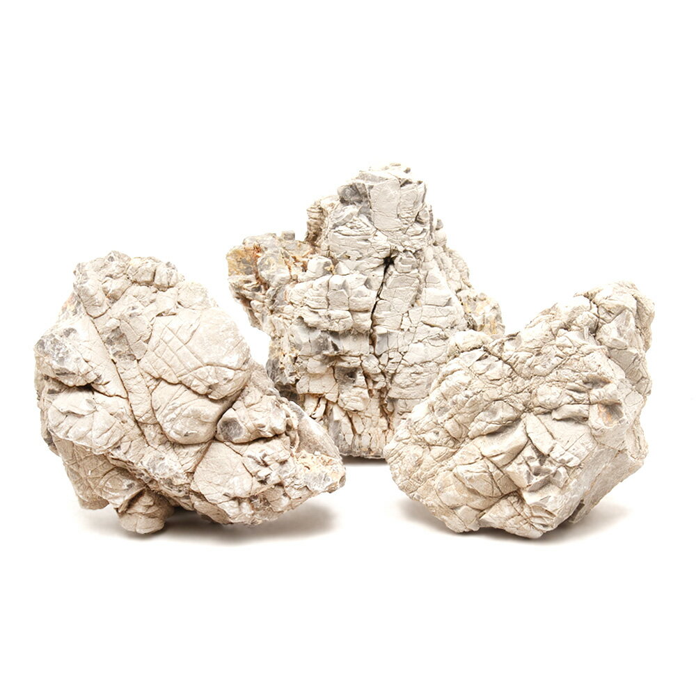 形状お任せ　裂罅石　Sサイズ（約8〜13cm）　3個　アクアリウム　レイアウト素材　関東当日便