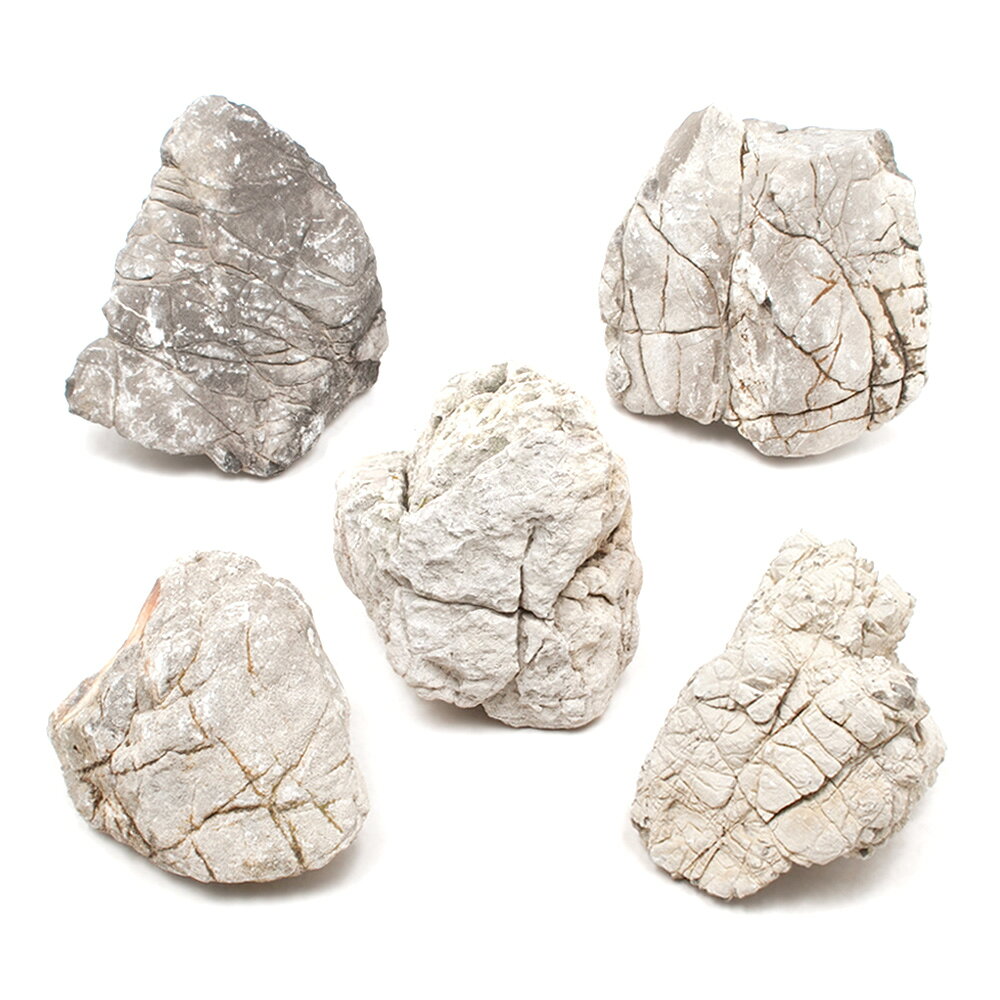 岩礁レイアウトに最適！形状お任せ　裂罅石　Mサイズ（約13〜18cm）　5個対象淡水用特長●「裂罅石（れっかせき）」はグレーを基調とした色合いをしているレイアウトストーンです。●複雑な亀裂が入っていることから、岩礁レイアウトに最適と言えます。●アクアリウム用としてだけでなく、テラリウム用としても最適です。●起伏のある岩肌は爬虫類の脱皮時に、皮を引っ掛けて脱ぐ際の補助としても使えます。●シンプルながらアイデア次第で多用途に使うことができ、かなり高い汎用性の素材です。数量5個サイズ（約）最大辺：13〜18cm程度※天然石となりますので、形状や色味にはバラツキがございます。予めご了承ください。ご注意※ご使用前によく水で洗ってから水槽へ投入してください。※サイズは形状により表示寸法と多少異なる場合がございます。予めご了承ください。※必ず底床を敷いてレイアウトをしてください。石を底面に直置きすると、水槽に傷をつける恐れがあります。※水洗い等をする際は、鋭い部分がございますので、ケガをなさらないよう十分に注意してお取扱いください。※石は種類に関わらず、多少の硬度の上昇を招きます。一般的な種類であれば育成に影響はありませんが、極端に硬度の上昇・アルカリ性の水質を嫌う種類を飼育されている水槽にご使用の場合には、十分にご注意くださいませ。※商品画像はサンプルです。同じ形状・個数とはなりませんので、あらかじめご了承ください。形状お任せ　裂罅石　サイズミックス　3kg　30cm水槽向け　アクアリウム　レイアウト素材形状お任せ　裂罅石　サイズミックス　5kg　45cm水槽向け　アクアリウム　レイアウト素材形状お任せ　裂罅石　サイズミックス　10kg　60cm水槽向け　アクアリウム　レイアウト素材 … 形状お任せ　裂罅石　Mサイズ（13〜18cm）　5個　アクアリウム　レイアウト素材　2250008099102　石　アクアリウム用品　アクア用品　レイアウト　素材　熱帯魚　パルダリウム　コケリウム　アクアテラリウム　水槽用アクセサリ　隠れ家　かくれが　水草レイアウト　ネイチャーアクアリウム　レイアウトストーン　飾り石　岩　自然石　天然石　石組レイアウト　岩組レイアウト　爬虫類　金魚　メダカ　日淡　日本産淡水魚　水草　20260125　y26m01　kszk形状お任せ　裂罅石　Mサイズ（約13〜18cm）　1個　アクアリウム　レイアウト素材構成する商品内容は在庫状況により予告無く変更になる場合がございます。予めご了承下さい。■この商品をお買い上げのお客様は、下記商品もお買い上げです。※この商品には付属しません。■形状お任せ　裂罅石　サイズミックス　3kg　30cm水槽向け　アクアリウム　レイアウト素材形状お任せ　裂罅石　サイズミックス　5kg　45cm水槽向け　アクアリウム　レイアウト素材形状お任せ　裂罅石　サイズミックス　10kg　60cm水槽向け　アクアリウム　レイアウト素材